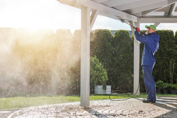 Best Gutter Cleaning  in East Lake, FL