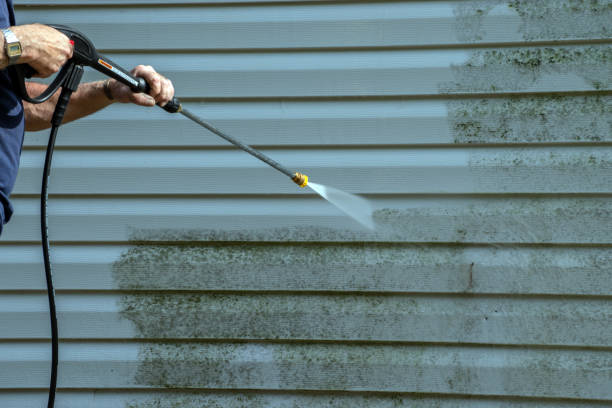 Professional Pressure Washing in East Lake, FL